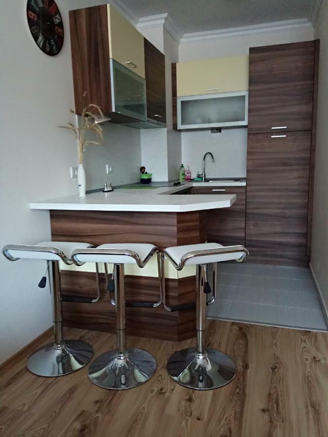 Denitsa Apartment Borowez Exterior foto